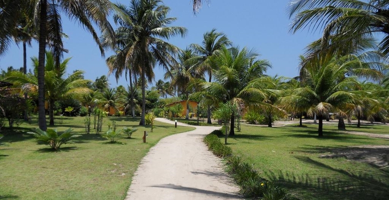 Cote Sud image