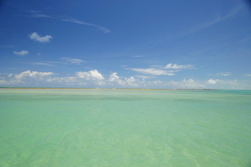 Cote Sud image
