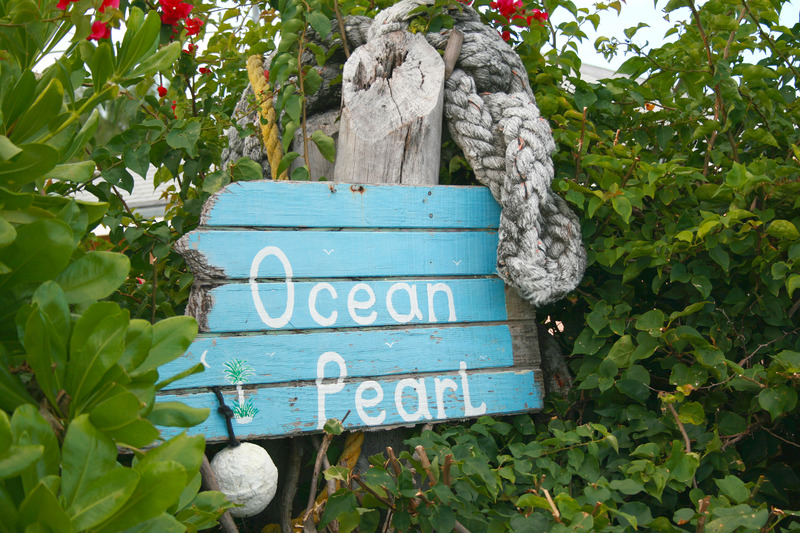 Ocean Pearl Bonefishing Resort