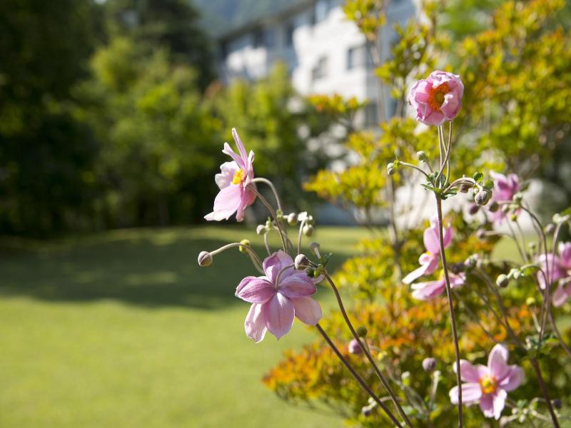 Azumino Hotaka View Hotel image