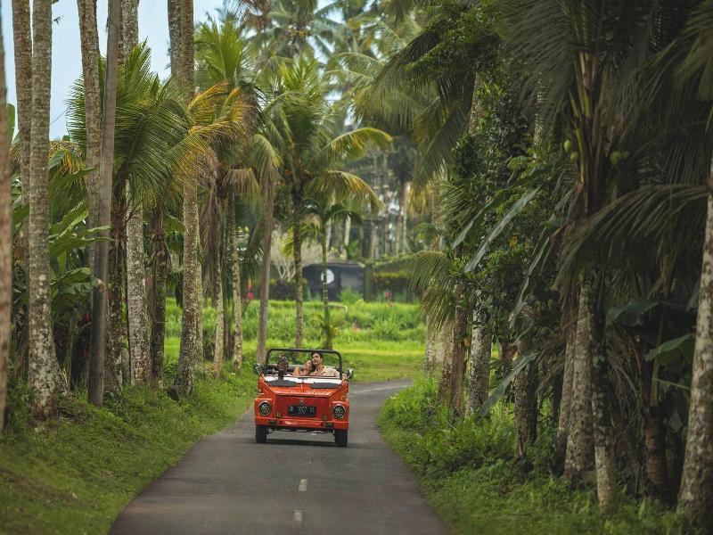 Mandapa, A Ritz-Carlton Reserve image