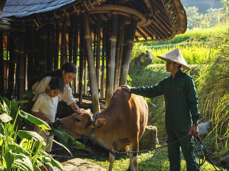 Mandapa, A Ritz-Carlton Reserve image