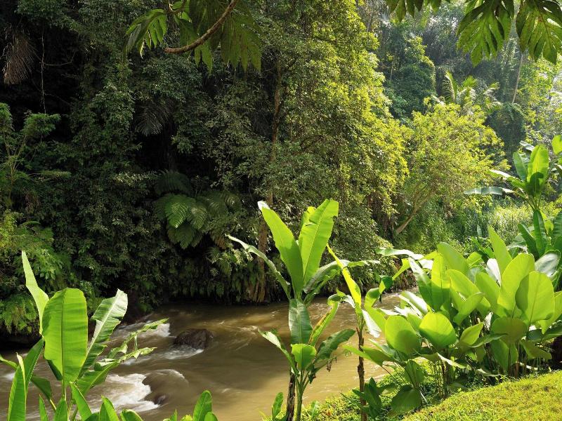 Mandapa, A Ritz-Carlton Reserve image