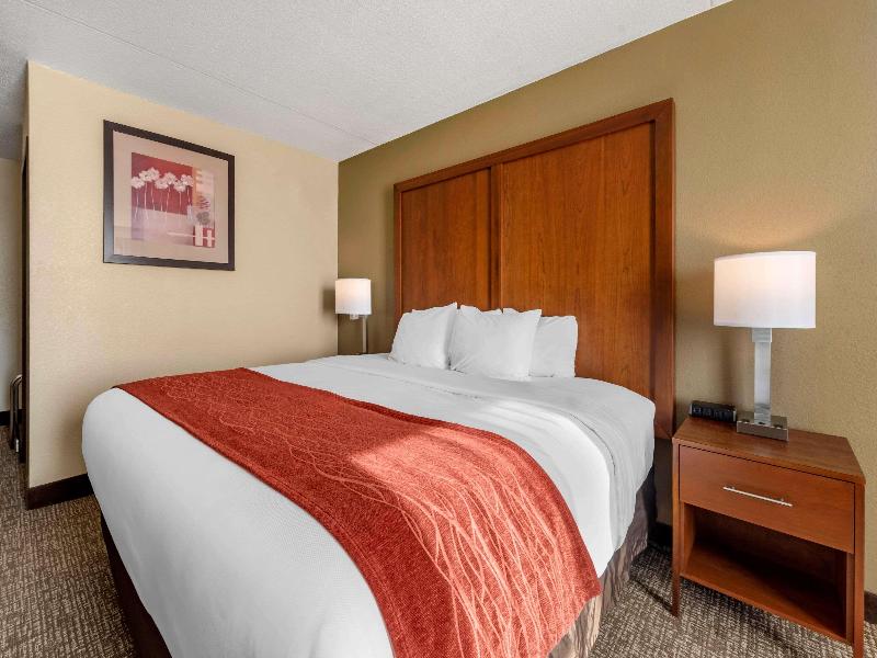 Comfort Inn & Suites Triadelphia - Wheeling image