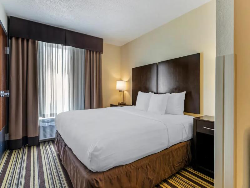 Comfort Inn & Suites Triadelphia - Wheeling image
