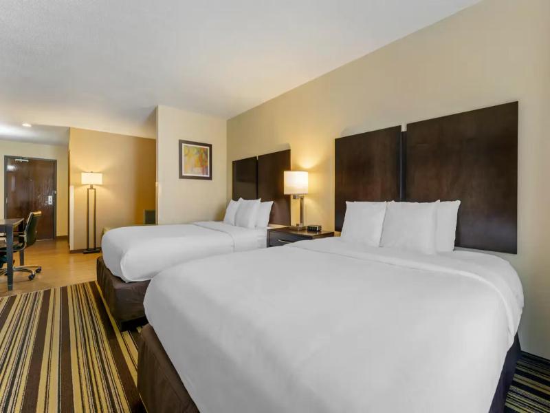 Comfort Inn & Suites Triadelphia - Wheeling image