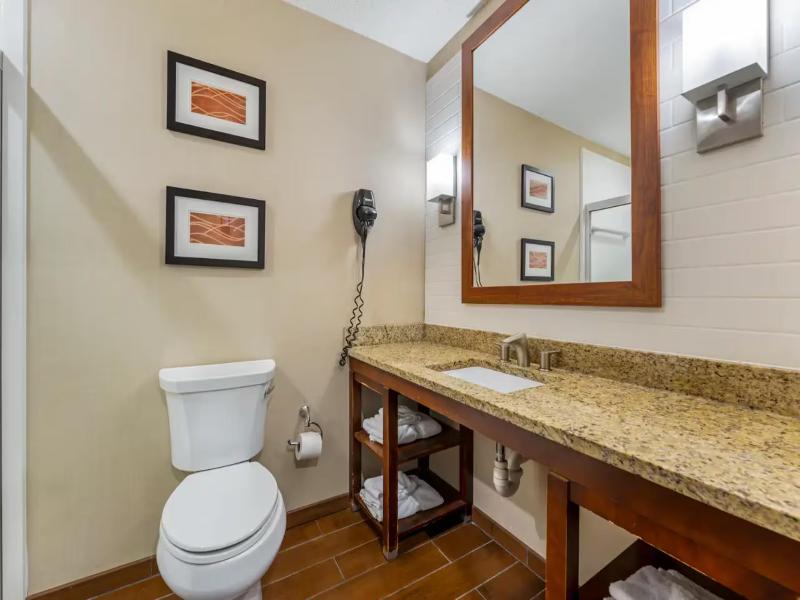 Comfort Inn & Suites Triadelphia - Wheeling image