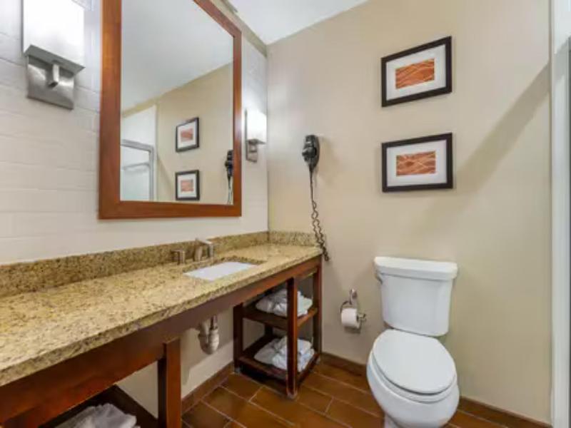 Comfort Inn & Suites Triadelphia - Wheeling image