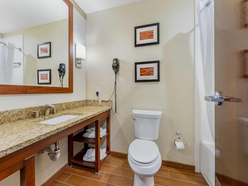 Comfort Inn & Suites Triadelphia - Wheeling image