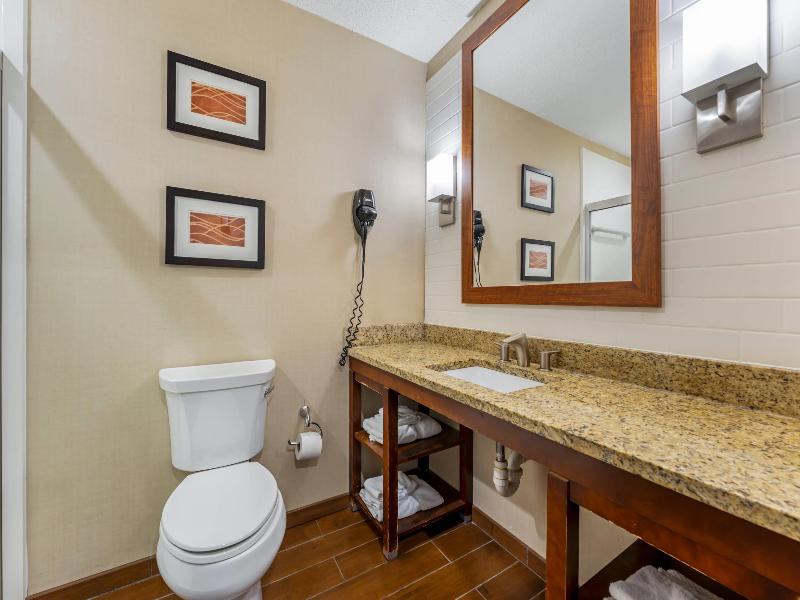 Comfort Inn & Suites Triadelphia - Wheeling image 6