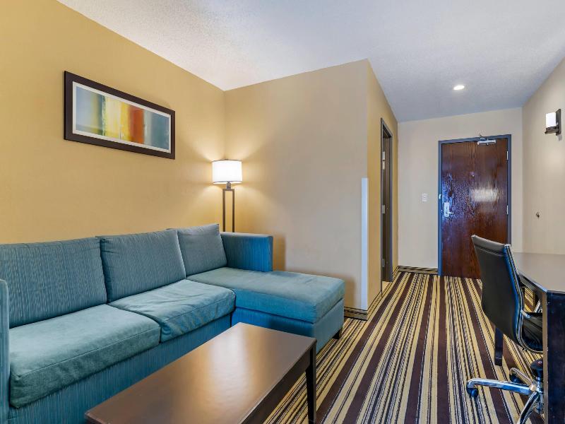 Comfort Inn & Suites Triadelphia - Wheeling image