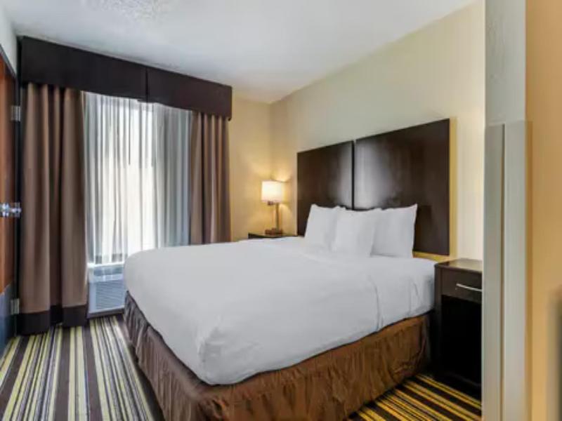 Comfort Inn & Suites Triadelphia - Wheeling image
