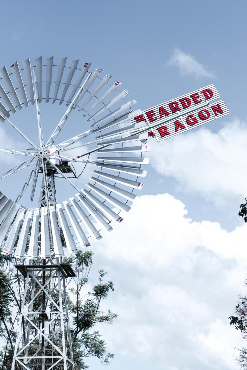 The Bearded Dragon Boutique Hotel image