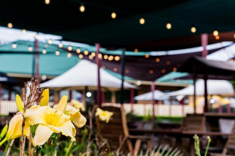 The Bearded Dragon Boutique Hotel image