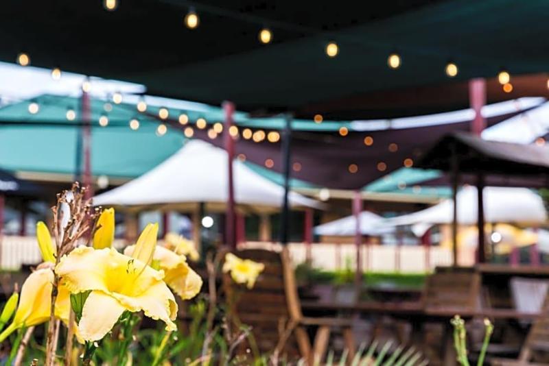 The Bearded Dragon Boutique Hotel image