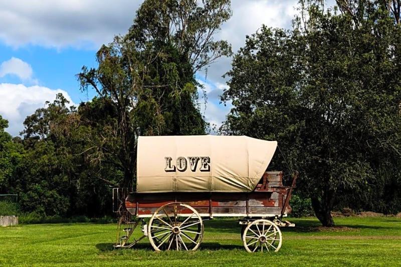 The Bearded Dragon Boutique Hotel image