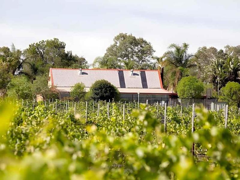 Bluebush Estate Lovedale image