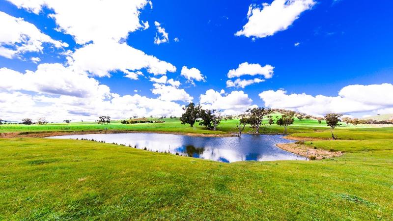 Hillview Farmstay image