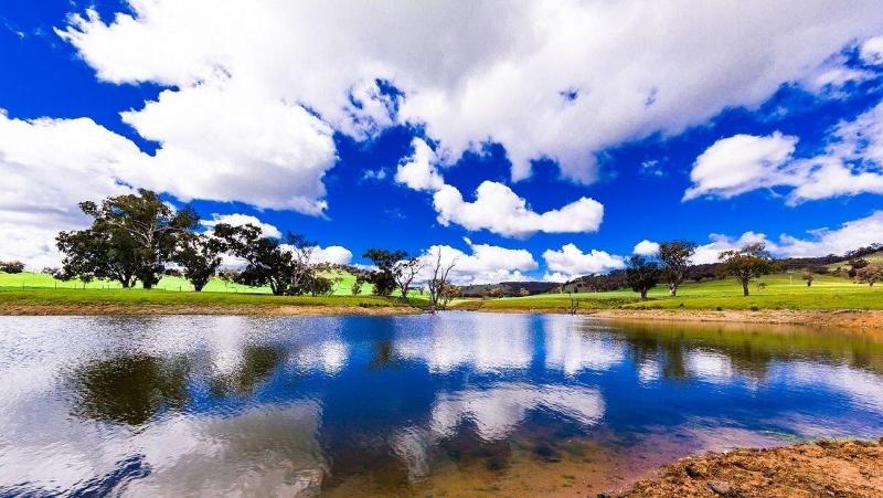 Hillview Farmstay image
