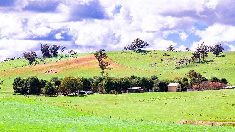 Hillview Farmstay image