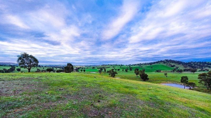 Hillview Farmstay image
