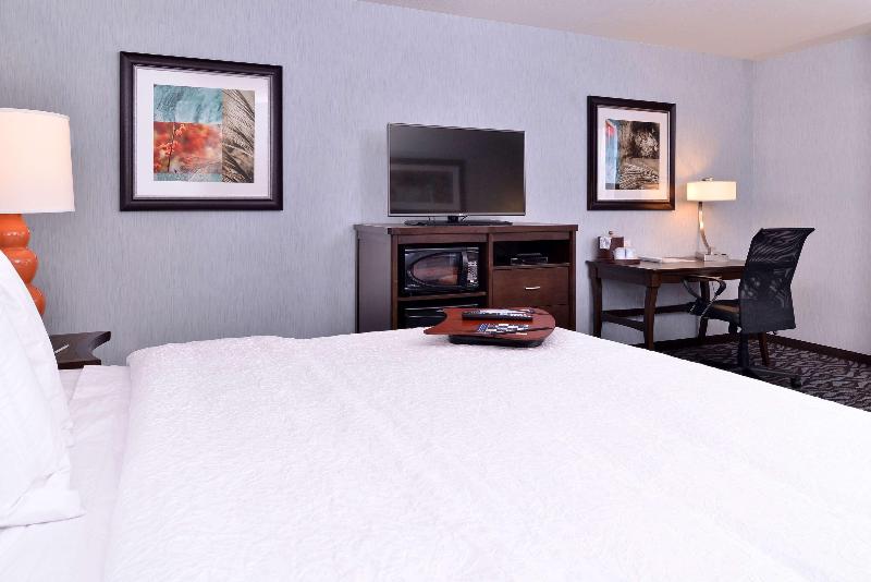 Hampton Inn Potsdam image