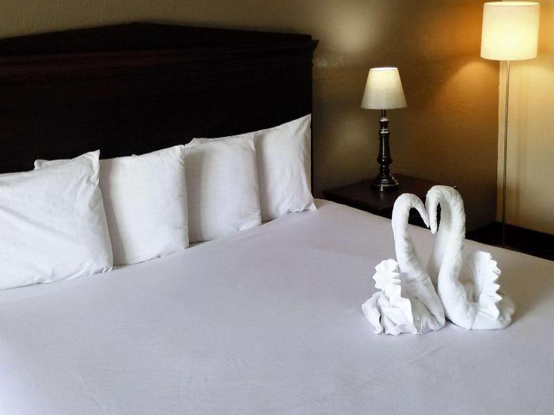Econo Lodge Ormond Beach Area image