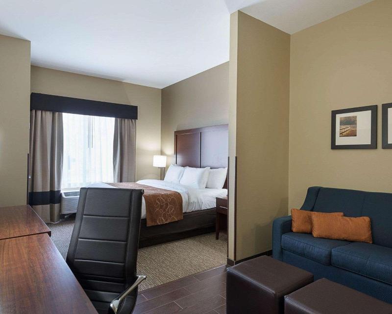 Comfort Suites Bridgeport - Clarksburg image