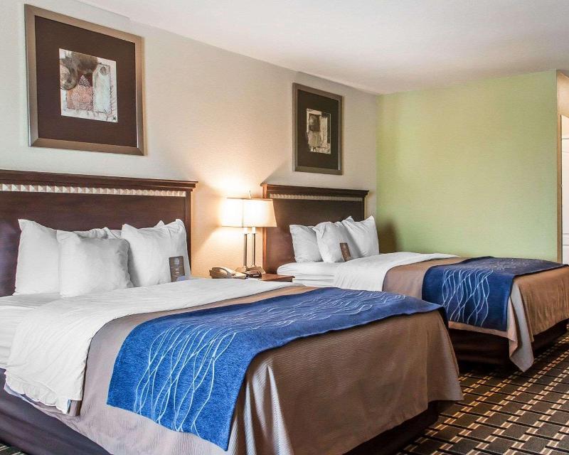 Comfort Inn & Suites image