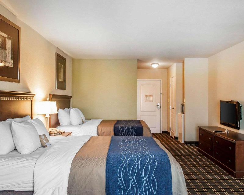 Comfort Inn & Suites image