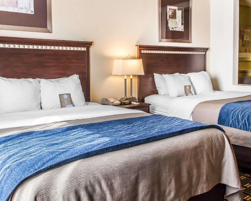 Comfort Inn & Suites image