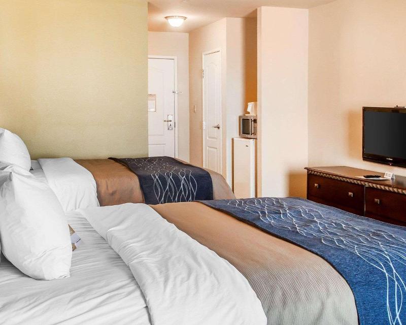 Comfort Inn & Suites image