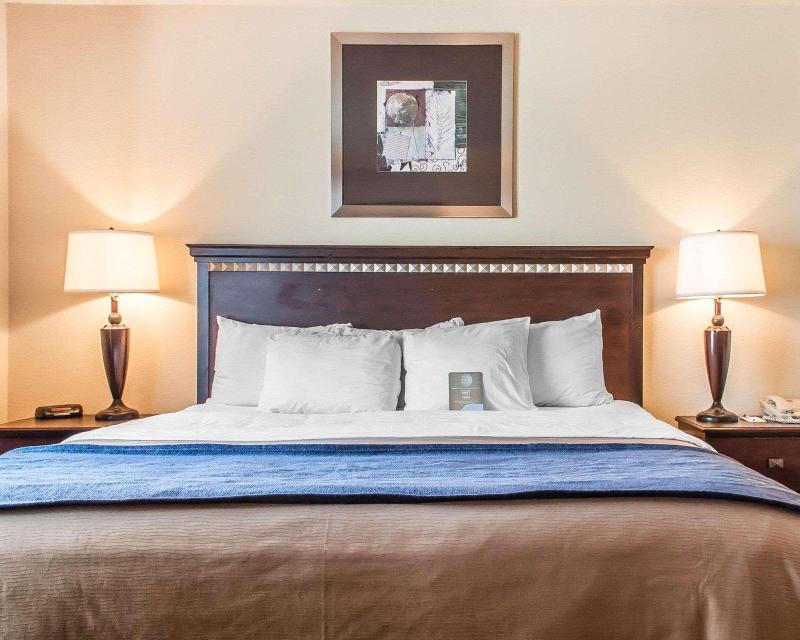 Comfort Inn & Suites image
