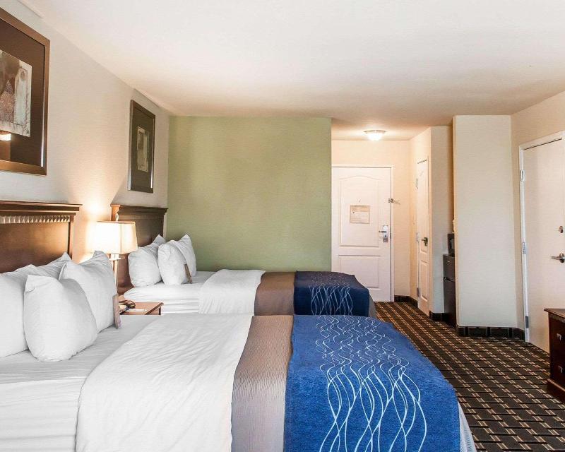 Comfort Inn & Suites image