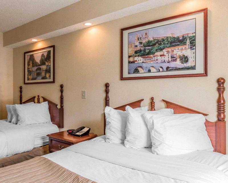Rodeway Inn Sylacauga Hwy 280 image