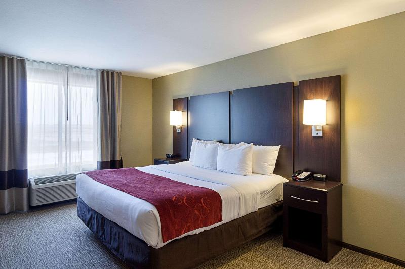 Comfort Suites & Conference Center image