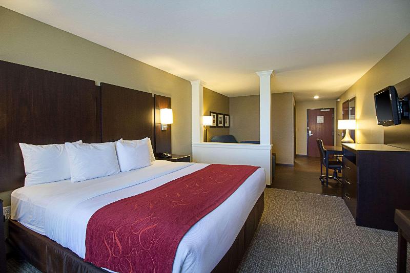 Comfort Suites & Conference Center image