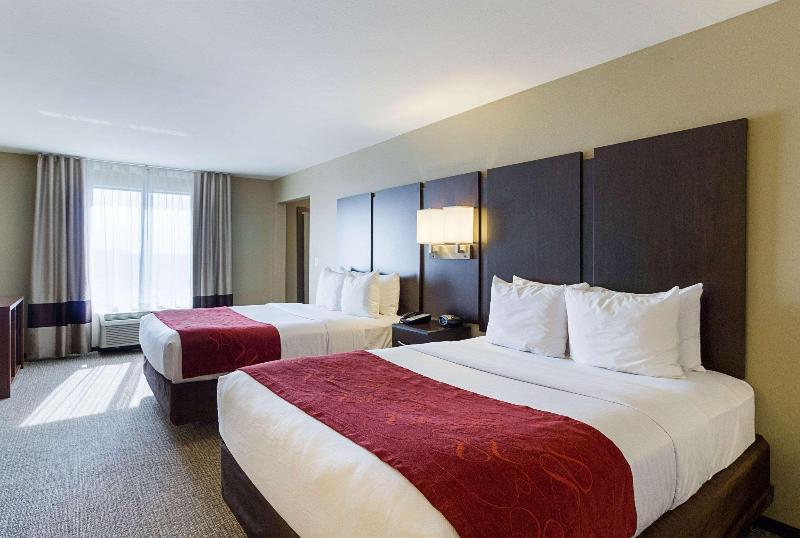 Comfort Suites & Conference Center image