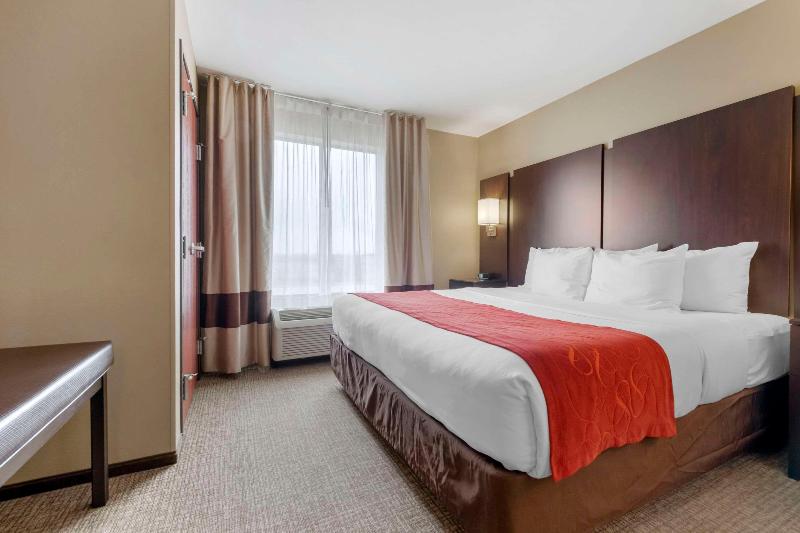Comfort Suites & Conference Center image
