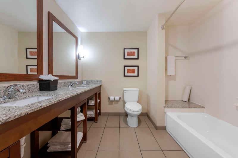 Comfort Suites & Conference Center image