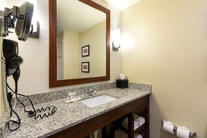 Comfort Suites & Conference Center image