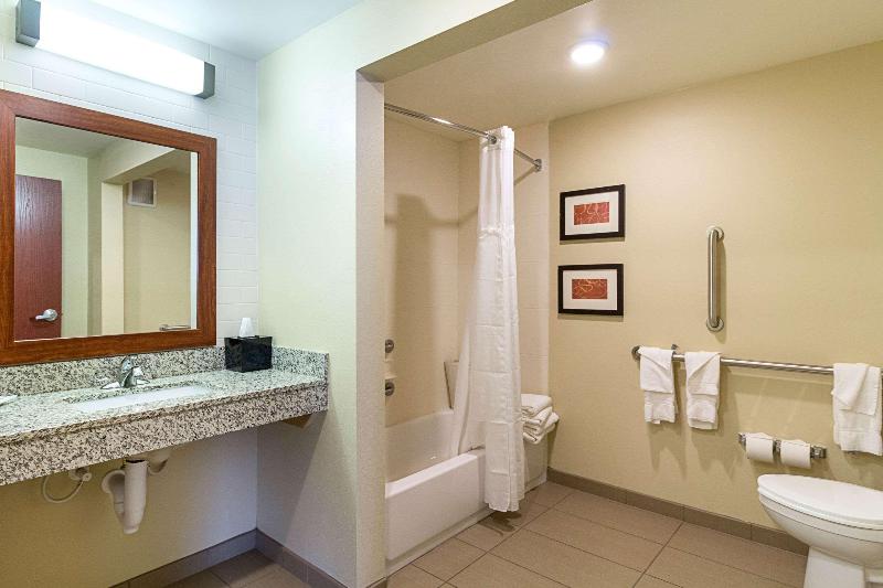 Comfort Suites & Conference Center image