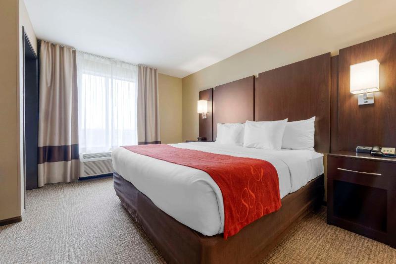 Comfort Suites & Conference Center image