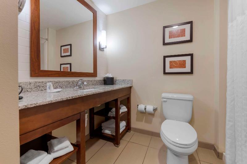 Comfort Suites & Conference Center image