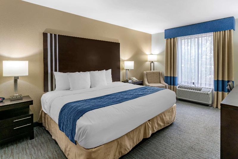 Comfort Inn Sullivan image