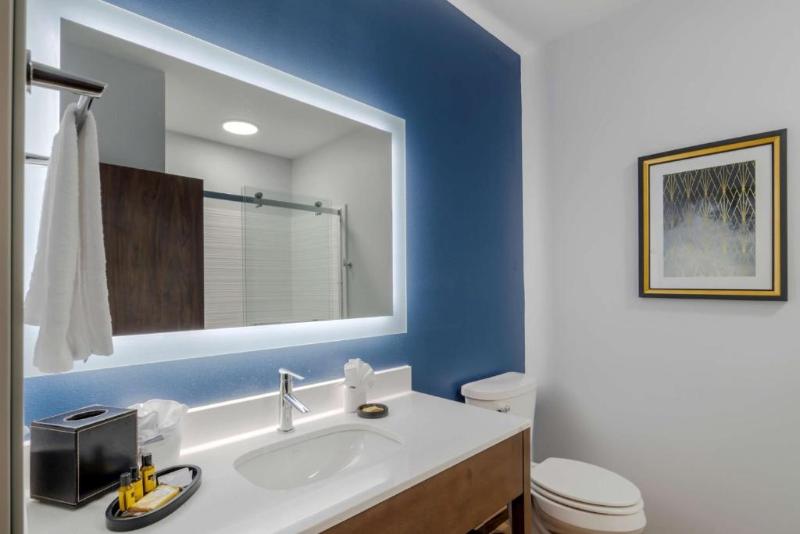 Best Western Plus St. Louis Airport Hotel image