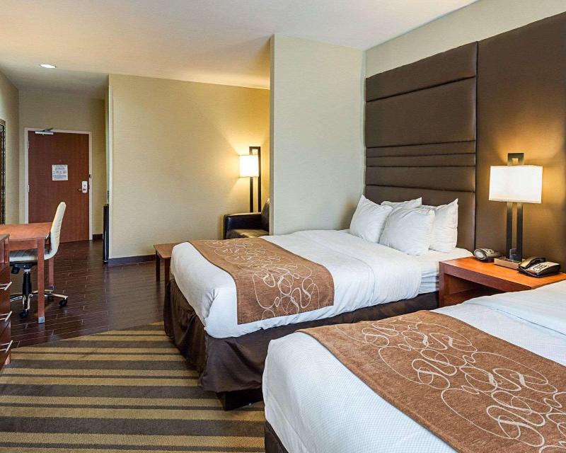 Comfort Suites South Gonzales image