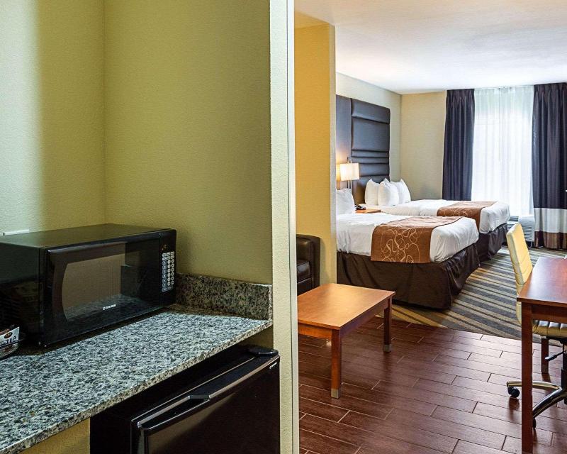 Comfort Suites South Gonzales image