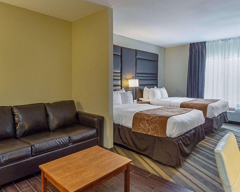 Comfort Suites South Gonzales image