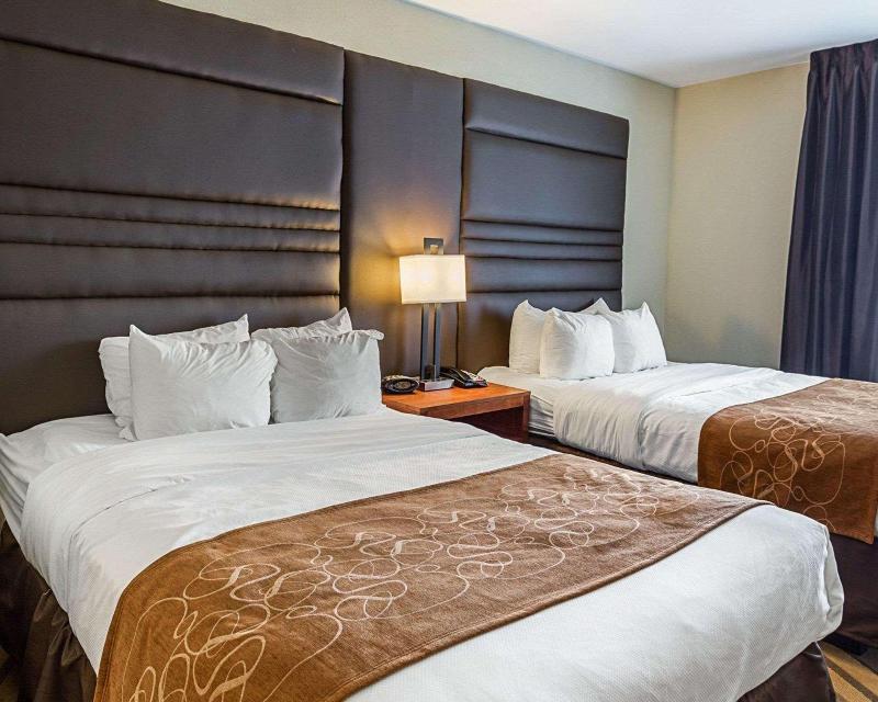 Comfort Suites South Gonzales image